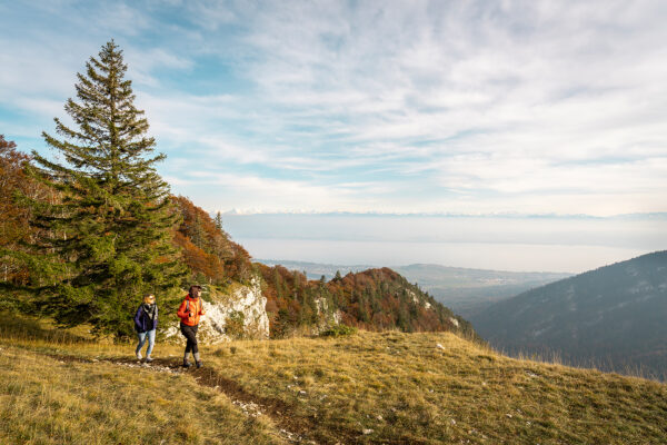 Wanderinnen auf dem Jura Grat Weg oberhalb des Aussichtspunkts Rochers de Tablettes.