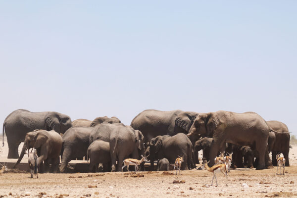 04_Namibia_11