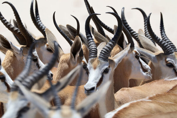 2024_Namibia 005
