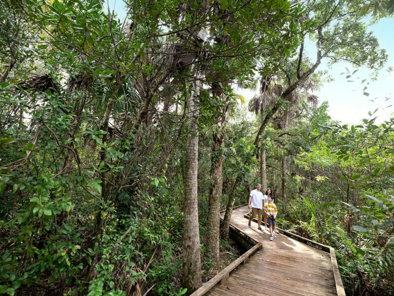 Caloosahatchee Creeks Preserve

Expire January 1, 2023. Unlimited global usage rights, excluding broadcast, for 1 year.