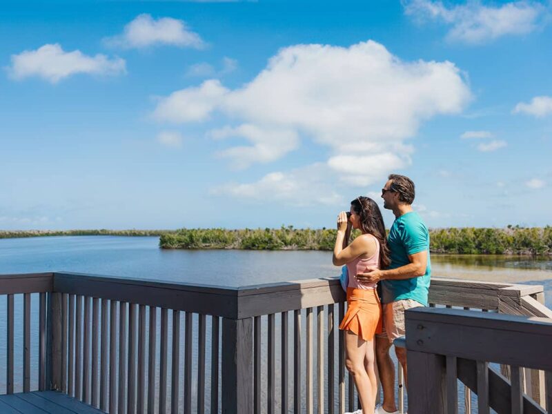 Couple viewing wildlife at Ding Darling Wildlife Refuge.