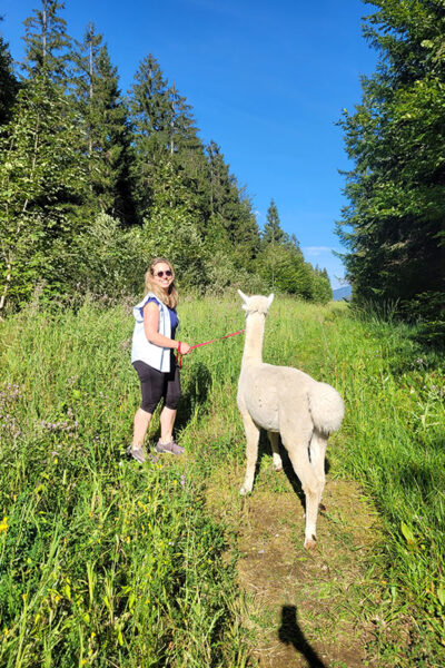 Alpaka_wanderung (2)